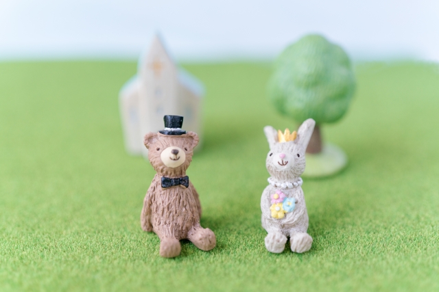 ネットで検索する猫